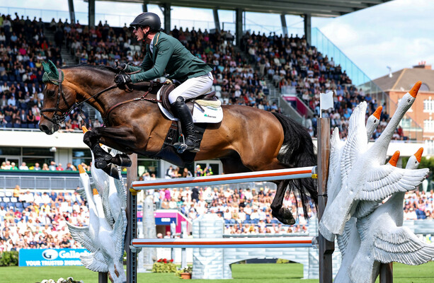 USA Wins Aga Khan Trophy at Nations Cup