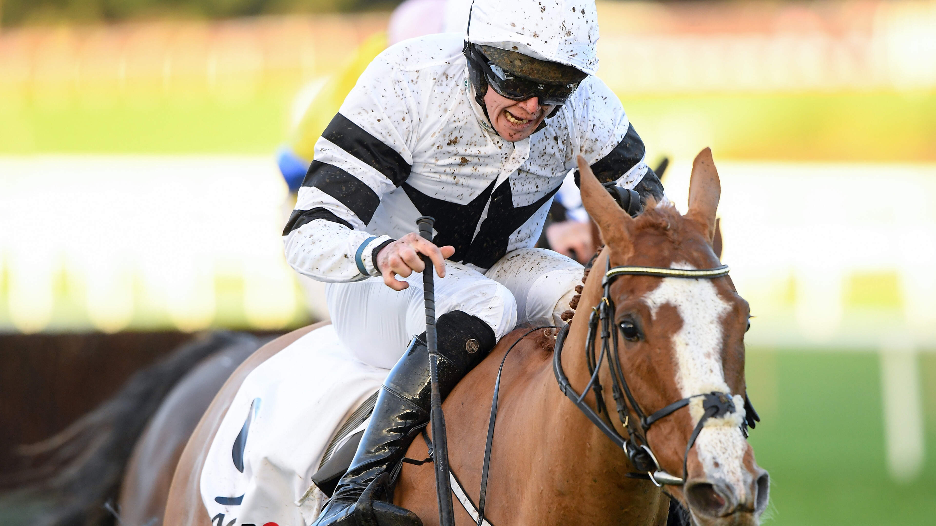 Grange Walk Aims for Success at Kilbeggan