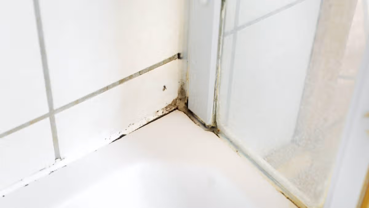 Mould-Free Bathrooms This Summer