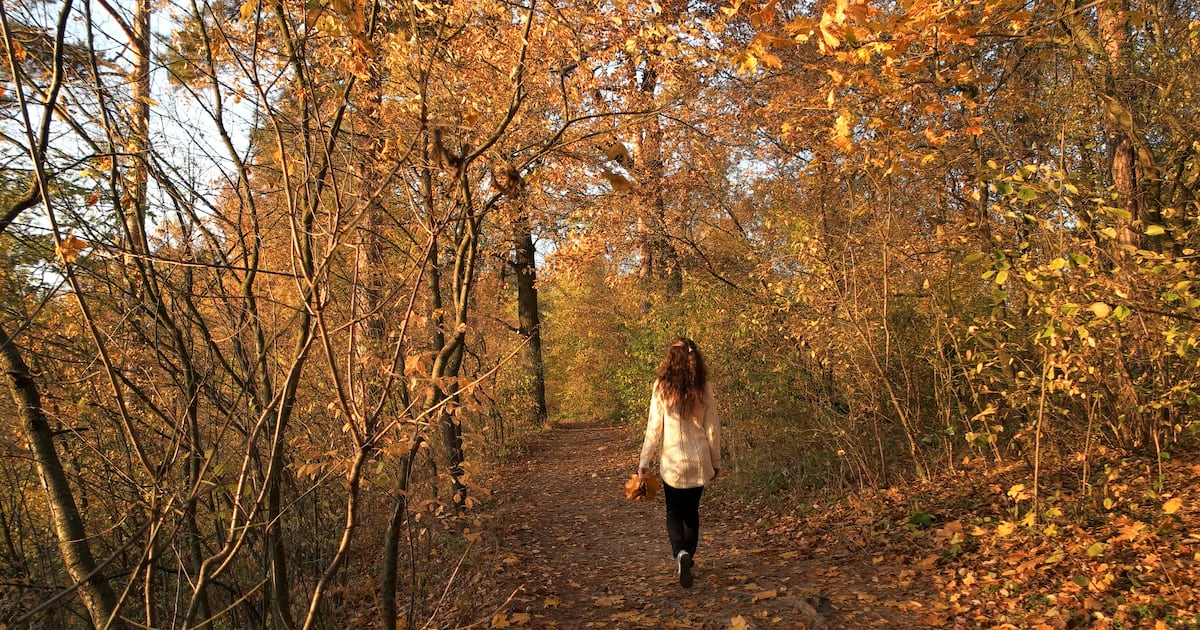 Experts Recommend Wellbeing Reset Before Winter