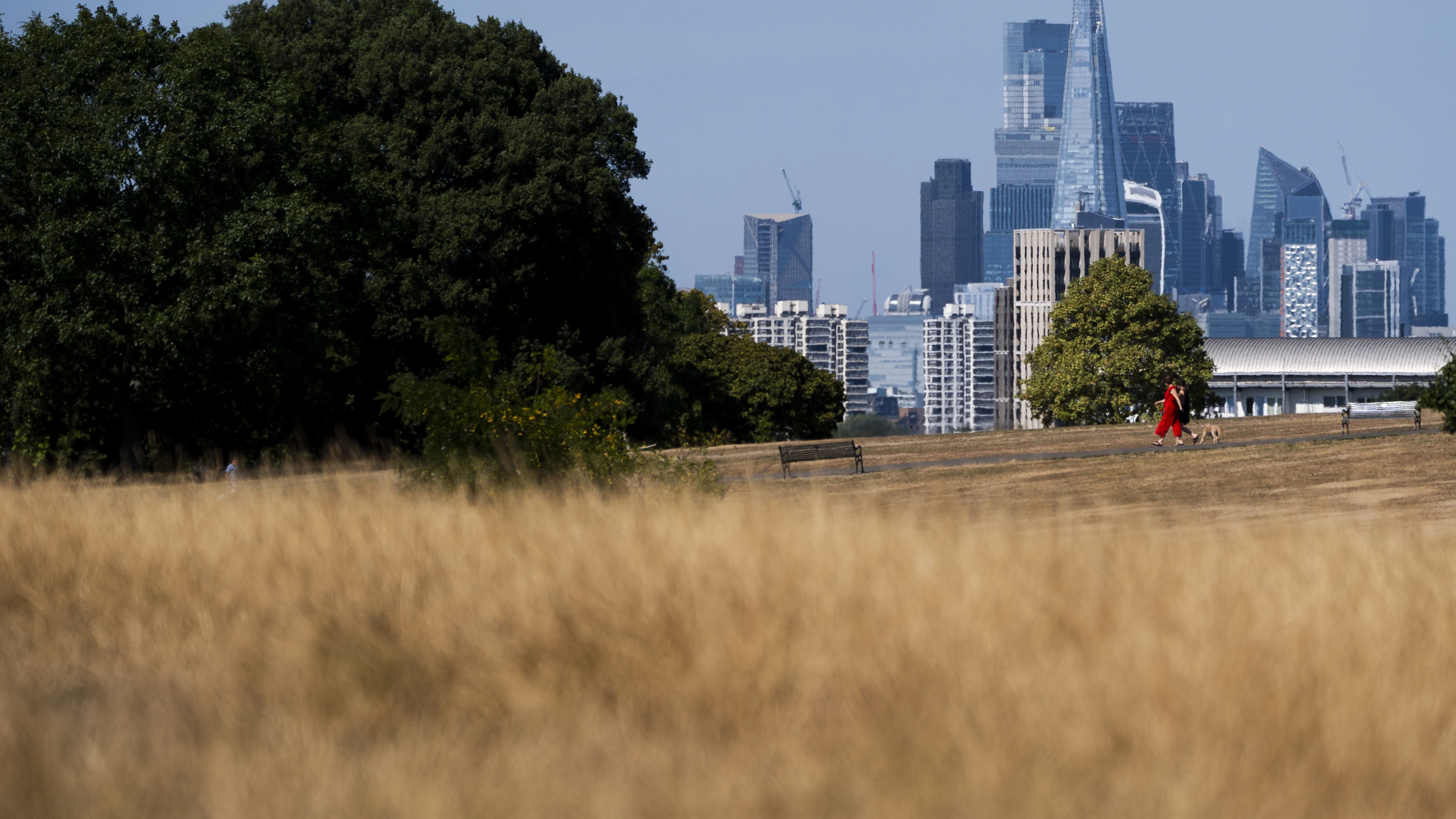 UK PM Chairs Emergency Meeting on Heat Warning