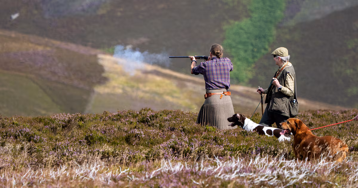 Grouse Shooting Boosts Rural Economy, Estates Claim