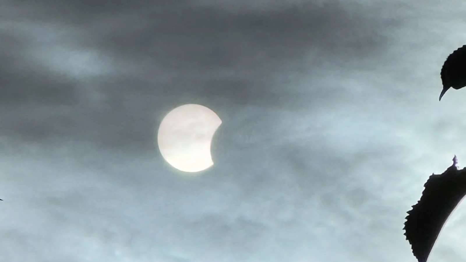 Thousands Witness Partial Solar Eclipse in Ireland