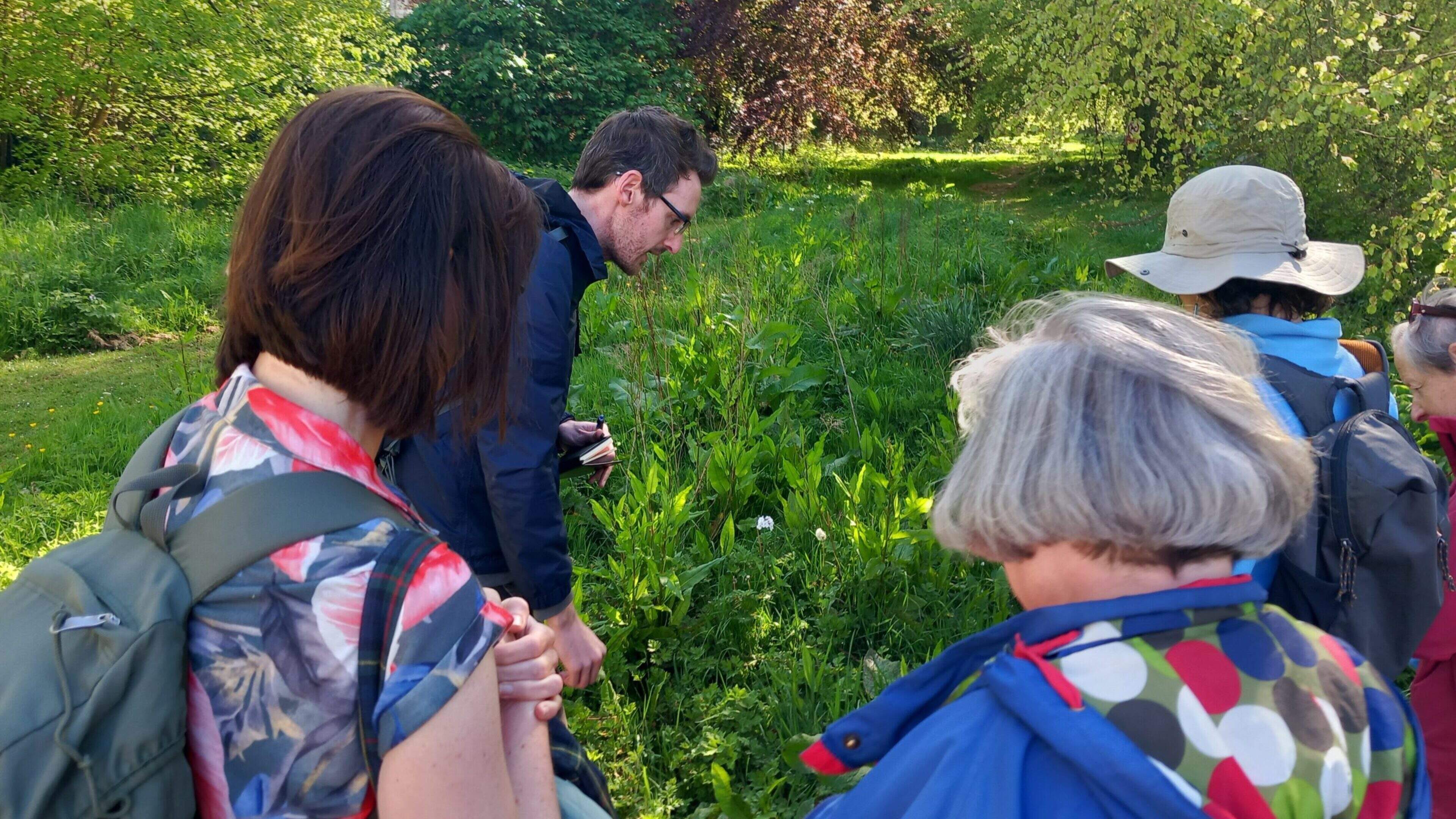 Waterford to Host Wild Bee Festival