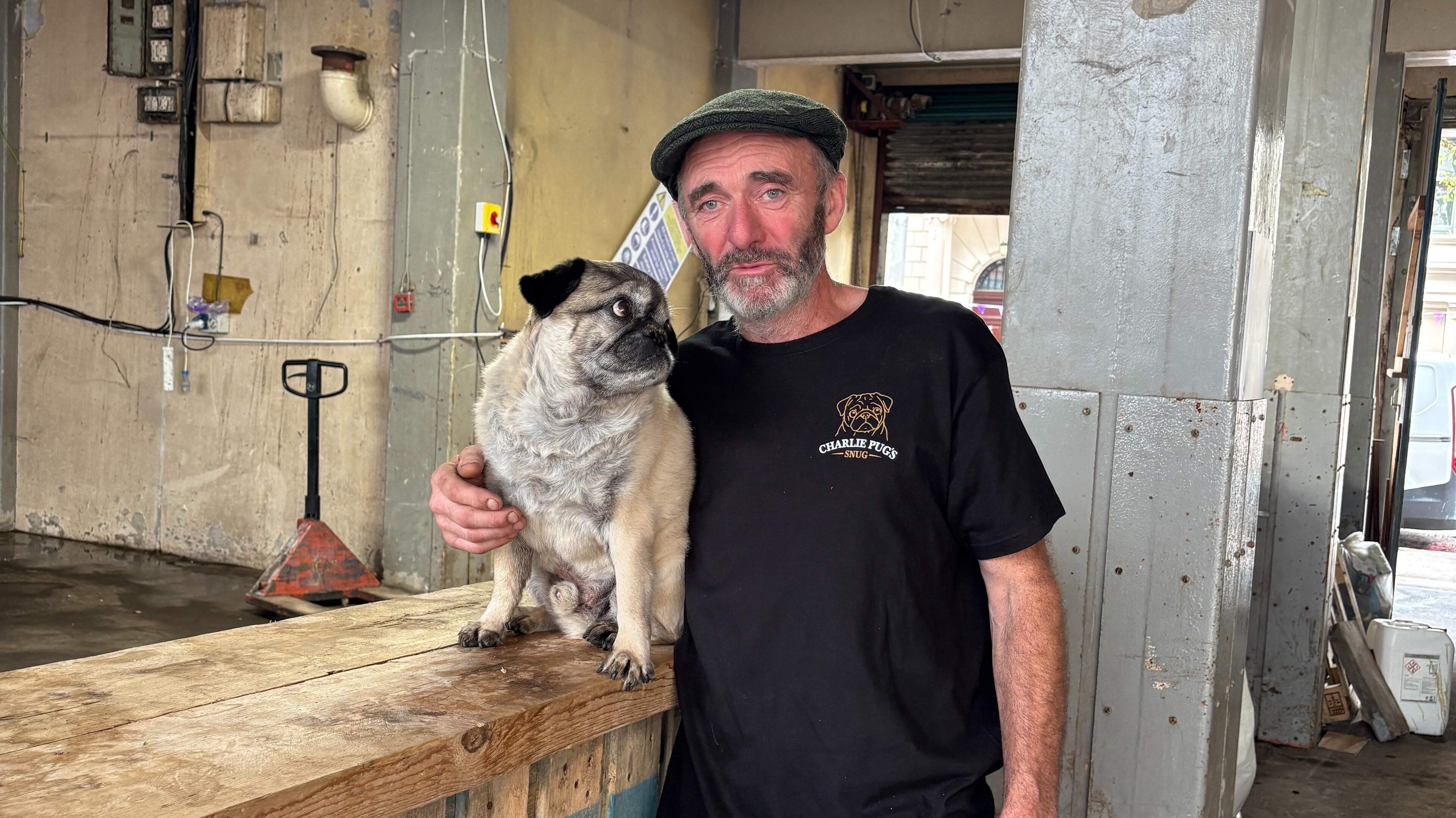 Pop-up pug captivates Belfast Fleadh-goers