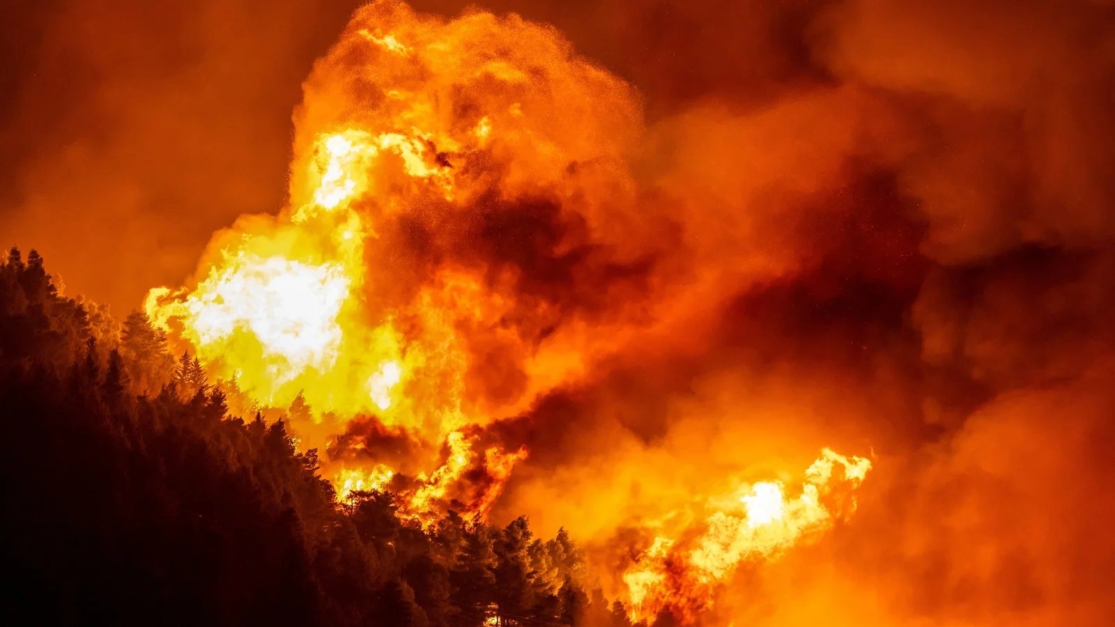 Evacuations Across EU Due to Wildfires