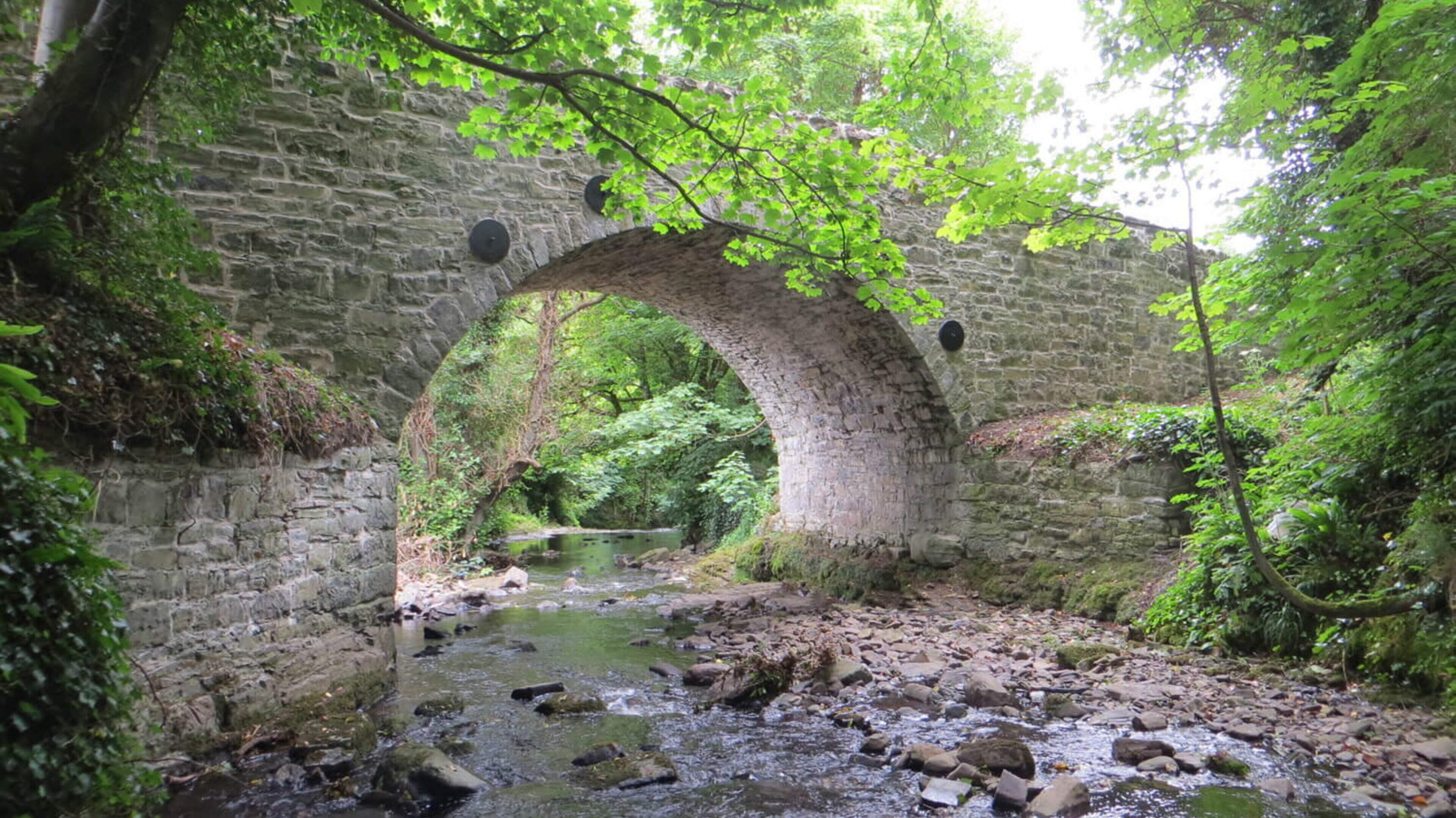 Exploring Sligo and Leitrim's Scenic Areas